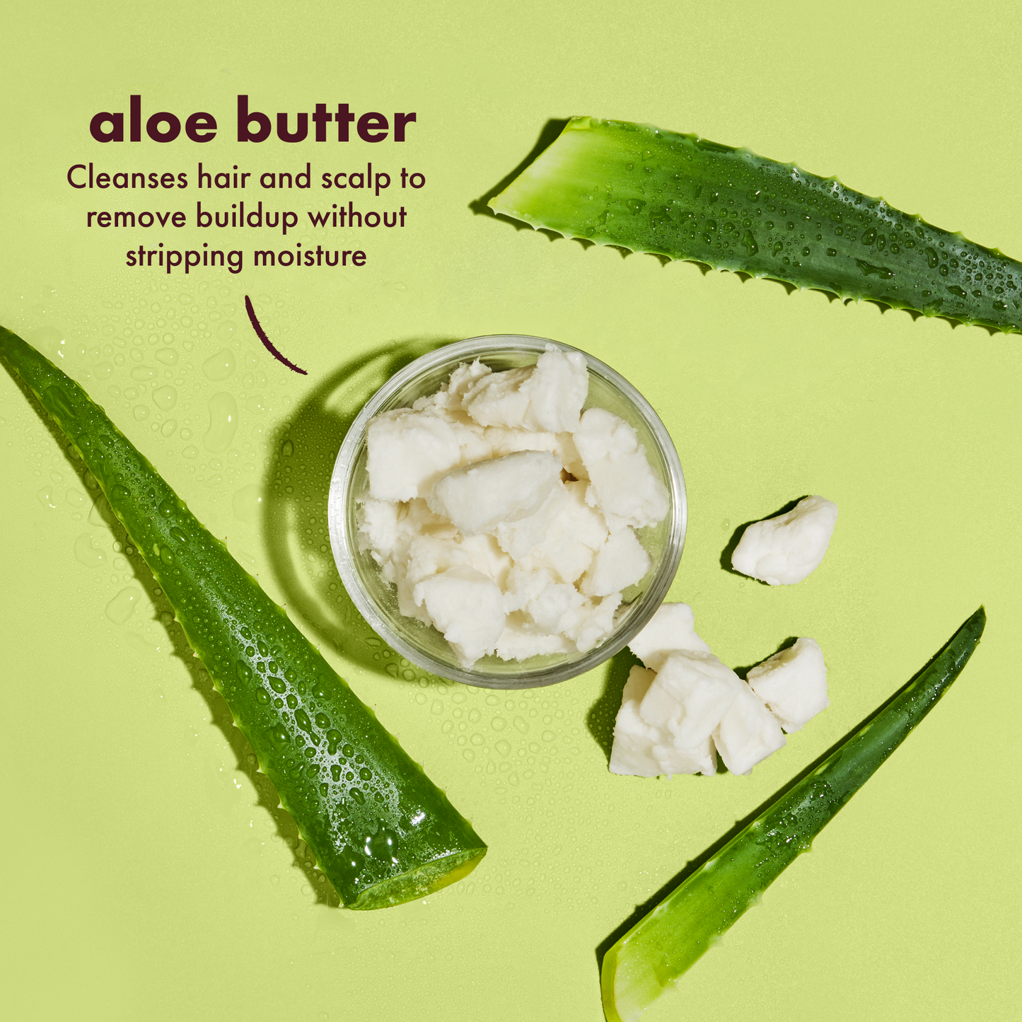 Aloe Butter Scalp Moisture Shampoo