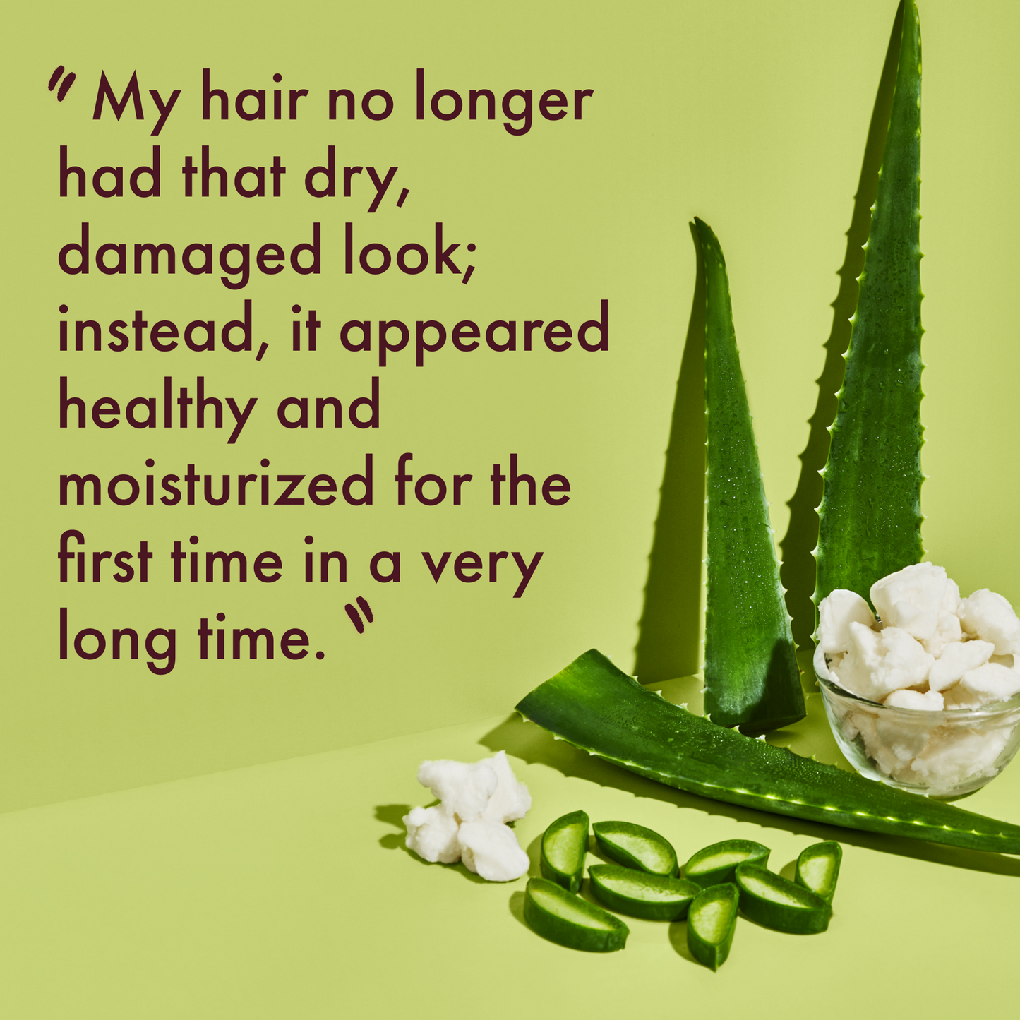 Aloe Butter Scalp Moisture Shampoo