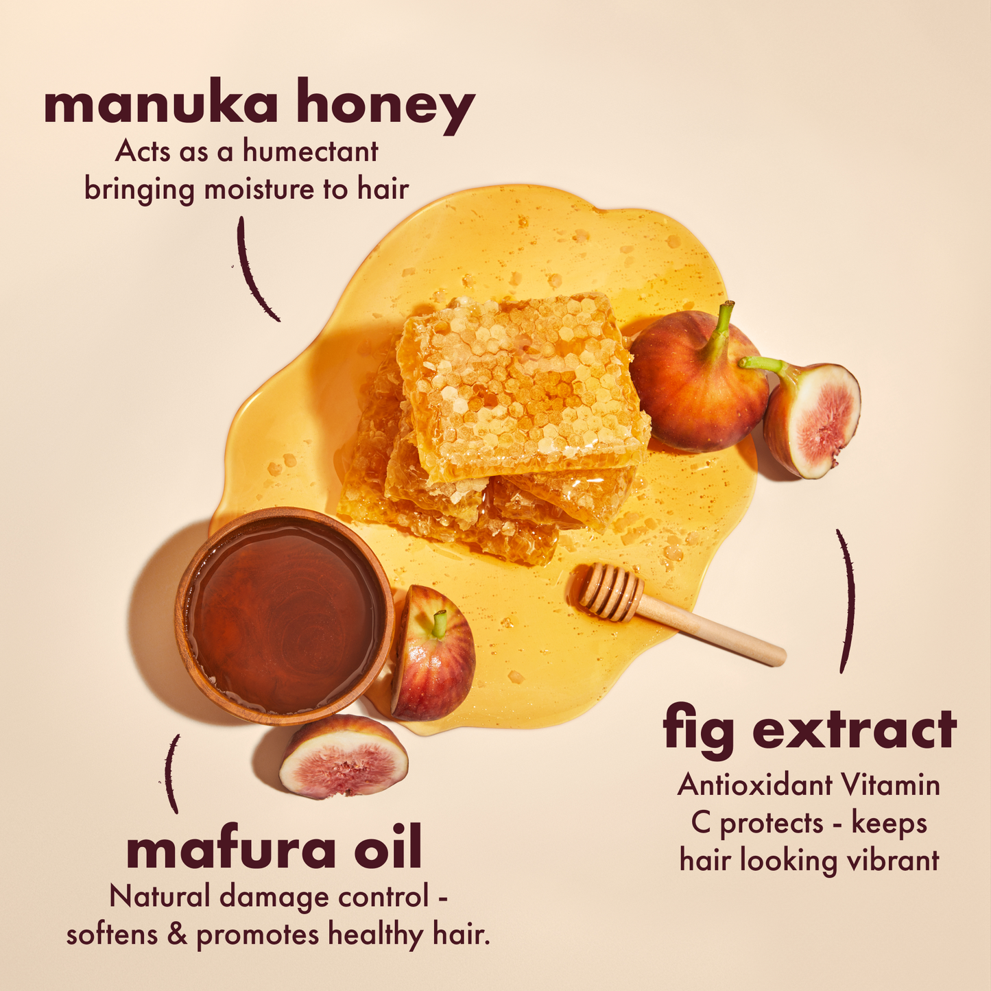 Manuka Honey & Mafura Oil Intensive Hydration Conditioner