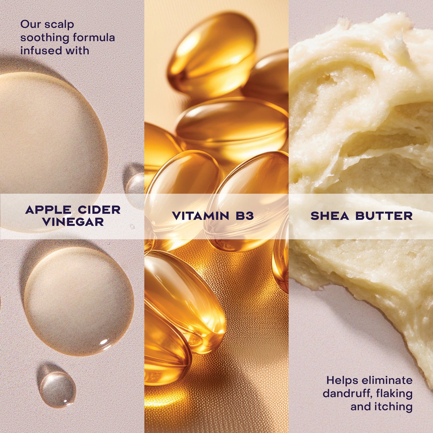 APPLE CIDER VINEGAR ANTI DANDRUFF CONDITIONER